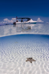 Scuba diving boat on the surface with seastar on seabed