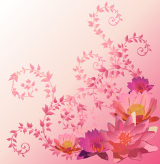 Fototapeta na wymiar pink background with lily and lotus flowers