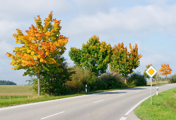 Straße im Herbst - Street in Autumn