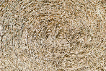 straw, hay background