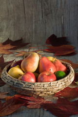 Herbst