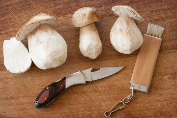 set pulizia funghi