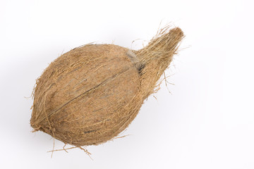 coconut