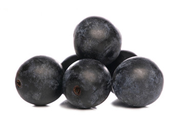 slow berries