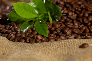 coffee bean and leaves