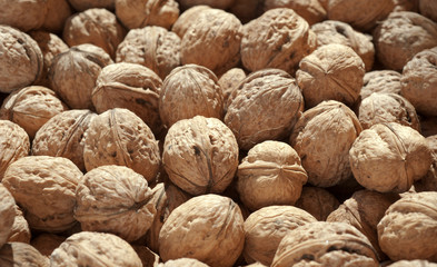 walnuts