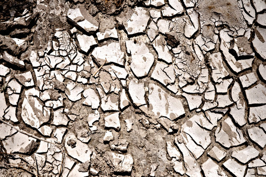 Dried Scorched Earth