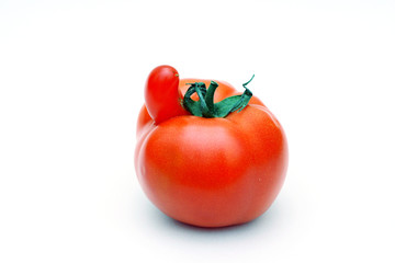 Red tomato on white background
