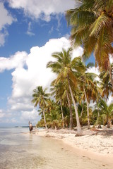 Obraz premium Le cheval sur la plage