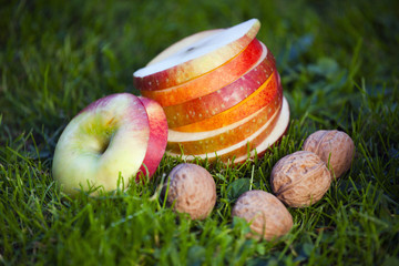 Grupa owoców na trawie: jabłka, nektaryny, orzechy