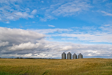 A row of four grain bins in the distance on a prairie field