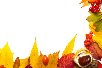 autumn elements border isolated on white