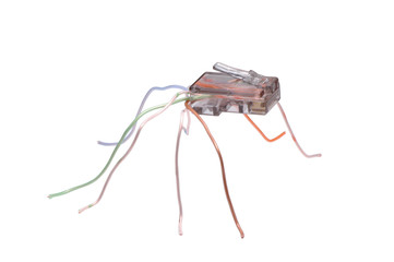 Making World Wide Web