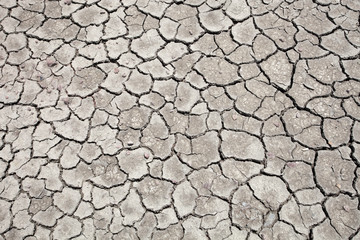 Cracked soil background