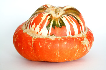 Bischofsm&uuml;tze / K&uuml;rbis