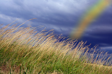 Regenbogen