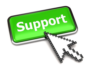 Support button and arrow cursor