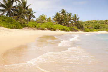 Beautiful Tropical Beach