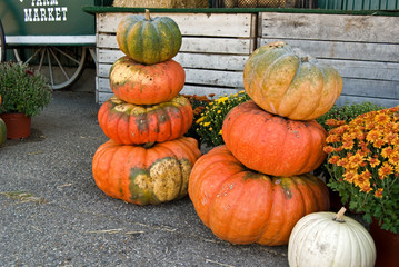 Pumpkin Stack