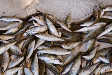 Fresh fish in market