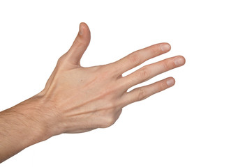 Counting man hand (1 to 5, back of the hand) on white background