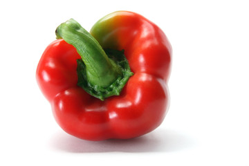 Red Capsicum
