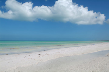 Fototapeta na wymiar Spiaggia nell'isola di Holbox