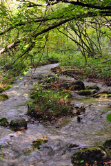 stream in the mountain
