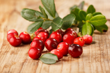 Fresh red cranberries