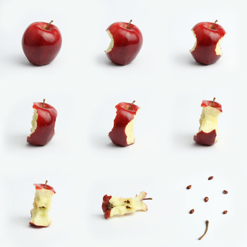 la pomme