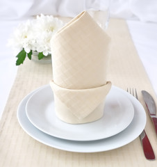Napkin 