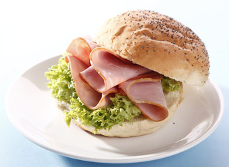 Tasty sandwich with ham
