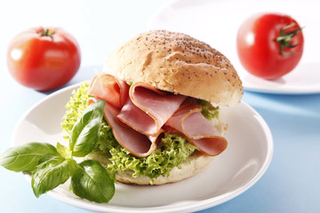 Tasty sandwich with ham