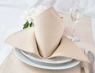 Napkin 