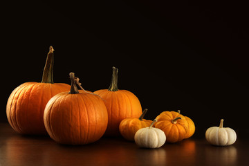 Different sized pumpkins and gourds on dark