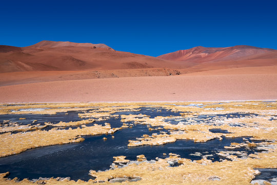 frozen lagoon Quepiaco in Atacama desert, Chile