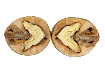 Split walnut