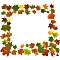 bunte Ahornblätter im Quadrat