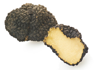 Tartufo
