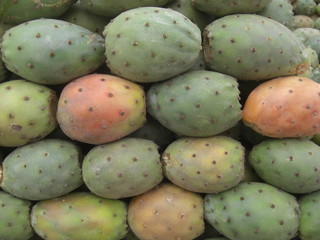 Figues de barbarie, Maroc