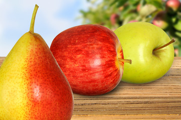 Obst 169