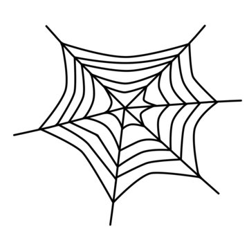 illustration of spider web isolated on white background