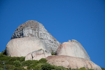 Lions Head Felsformation vor blauem Himmel - Südafrika