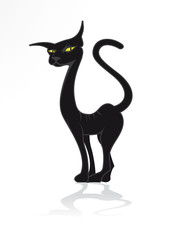 black cat