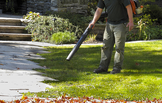 Landscaper Operating Leaf Blower