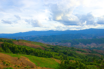 Fototapeta na wymiar Deforest for agriculture on mountain