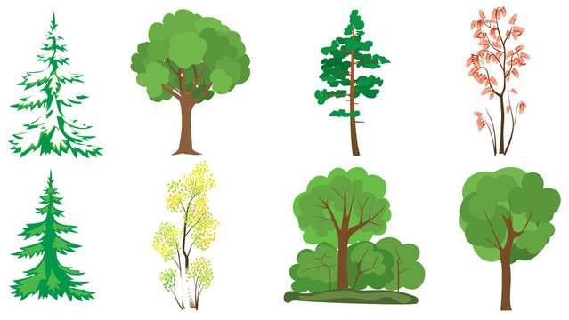 set of 8 trees