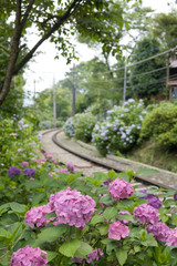 あじさい電車の線路
