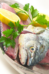 Seafood - fresh fish