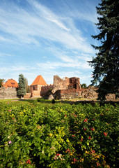 Ruiny Zamku Krzyżackiego w Toruniu dziś